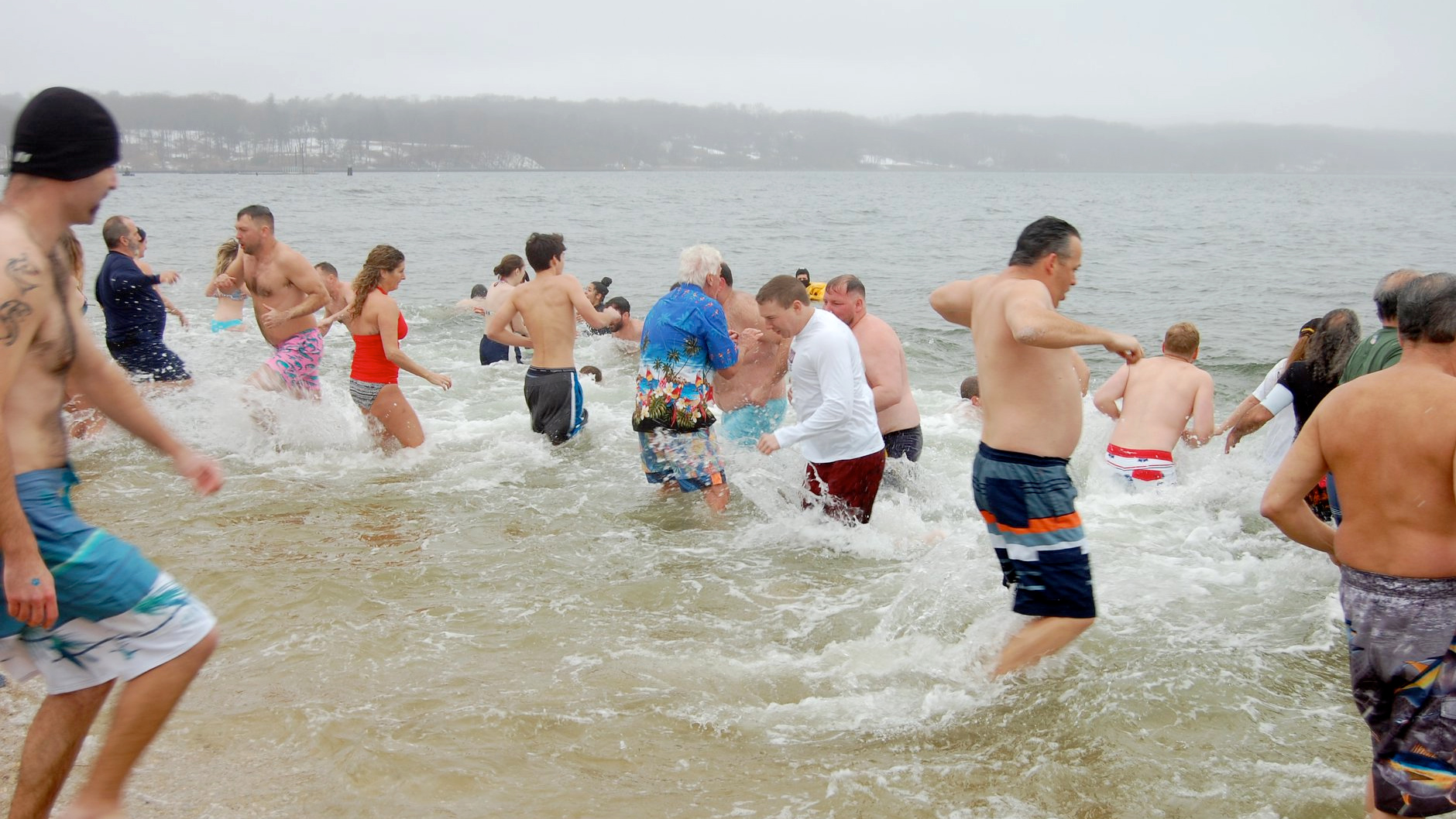 Polar bear plunge to benefit Cerebral Palsy Association The Long