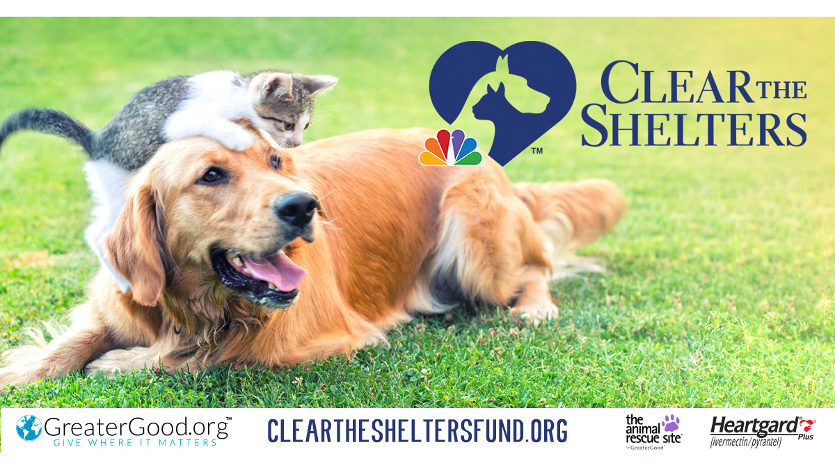 Clear The Shelters 1 