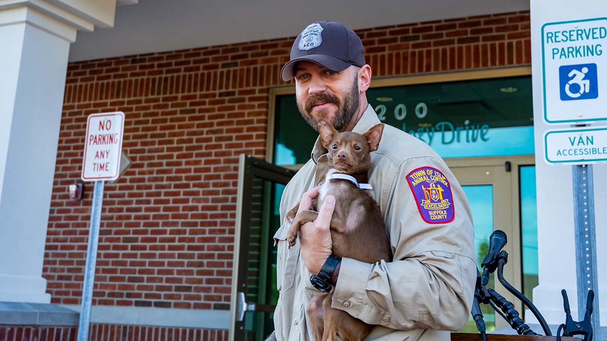 Town of store islip animal shelter