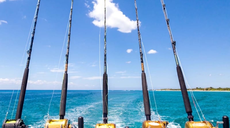 Fishing Rods Boat