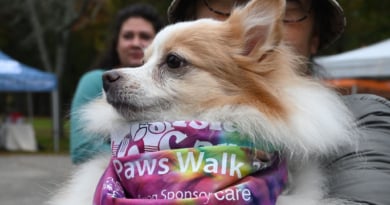 Licares Paws Walk