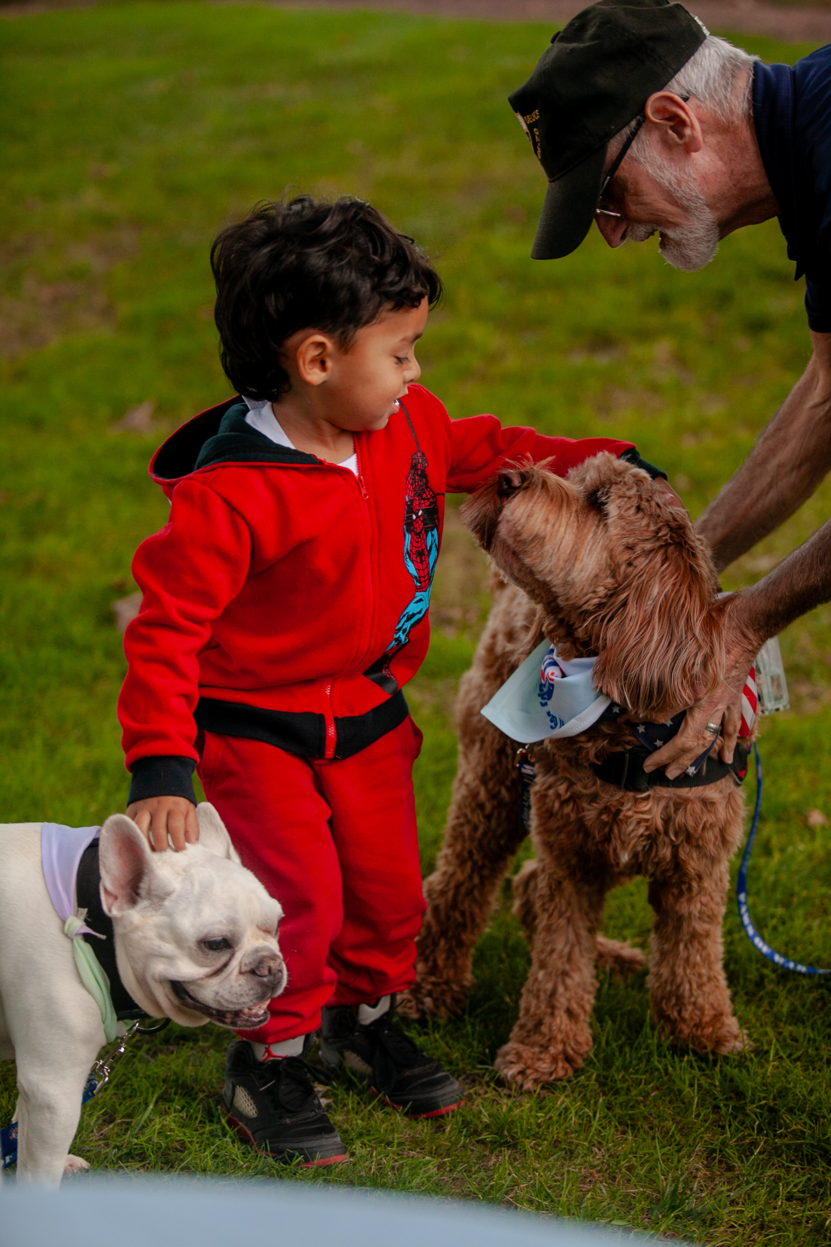 Pinelawn Lantern Memorial Dogs