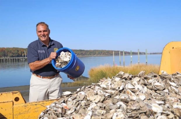 Saladino Oysters Recycling