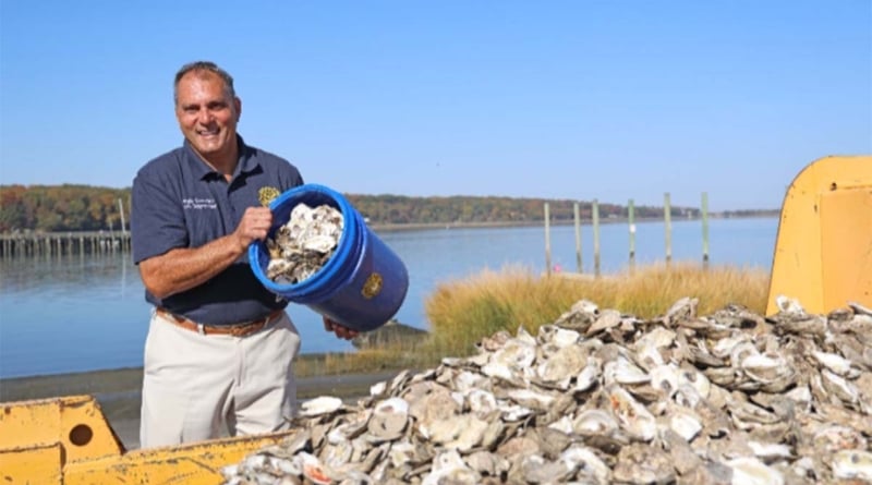 Saladino Oysters Recycling