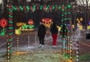 Gssc Holiday Light Show