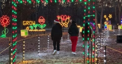 Gssc Holiday Light Show