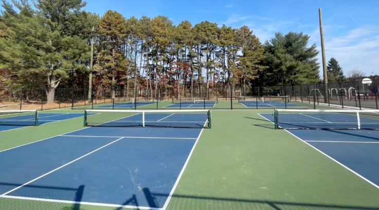 Otsego Park Pickleball