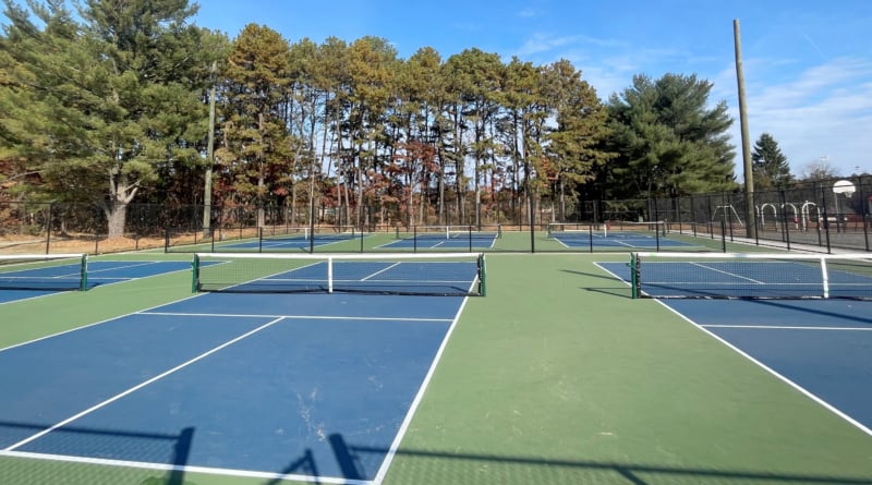 Otsego Park Pickleball