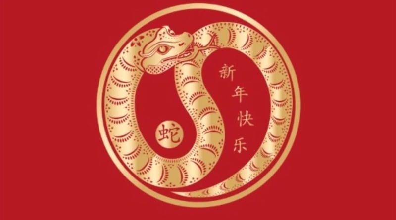 Year Of The Snake